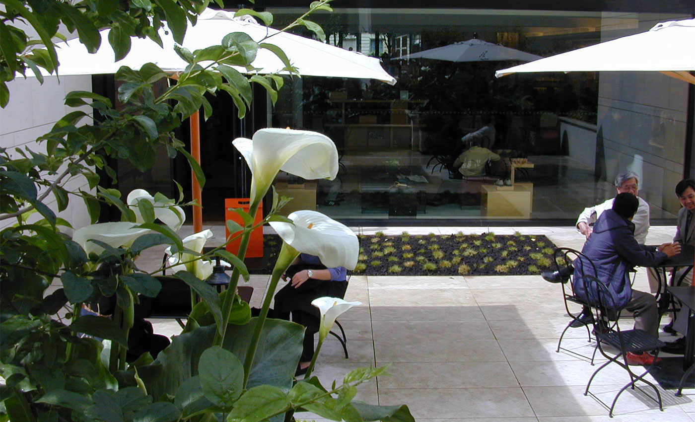 Richez Associés - le jardin du magasin Louis Vuitton - 4
